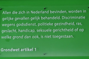 Artikel 1: Gelijke behandeling en discriminatieverbod