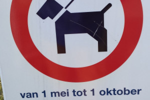 Honden losloopbeleid, nog even wachten