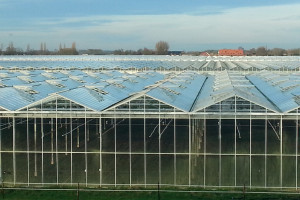 Voortgang riool glastuinbouw verloopt moeizaam